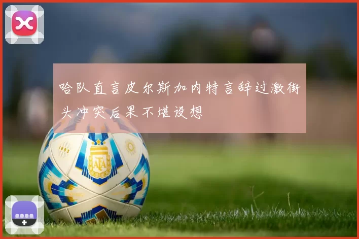 哈队直言皮尔斯加内特言辞过激街头冲突后果不堪设想