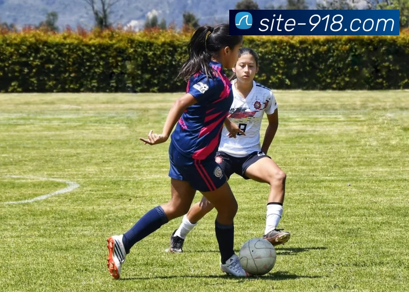 App Interface Preview